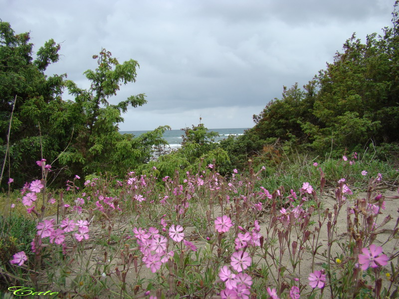 Parco nazionale del Circeo